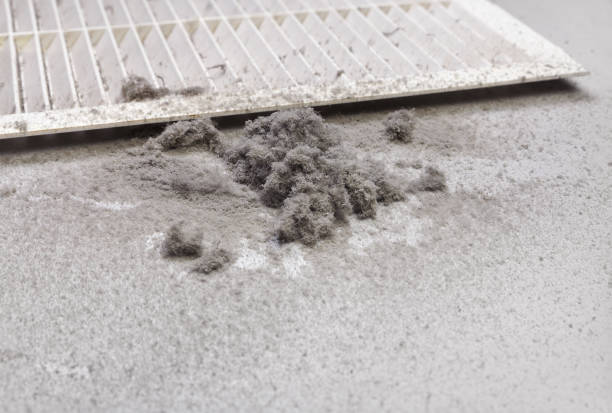 Best Emergency Air Duct Cleaning  in Steelevle, IL