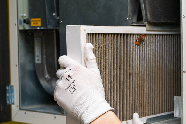 Best Home Air Vent Cleaning  in Steelevle, IL